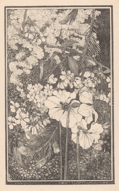 Lente by Theo van Hoytema