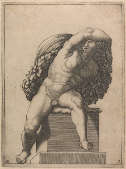 Male Nude from Panel of ‘The Sacrifice of Noah’. by Adamo Scultori