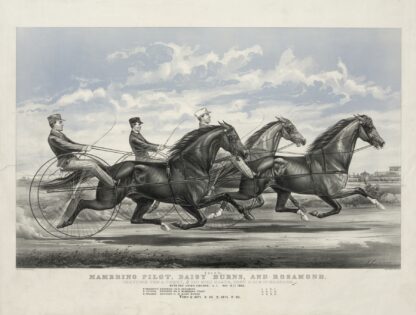 Mambrino Pilot, Daisy Burns, and Rosamond; trotting for a purse, $100 mile heats, best 3 in 5 in harness by John Cameron