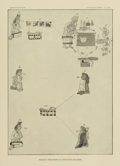 Mexican treatment of New-born Children by Garrick Mallery