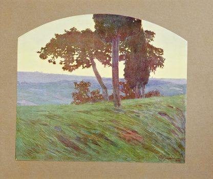 Novissima Pl.54 by Edoardo de Fonseca (Editor)