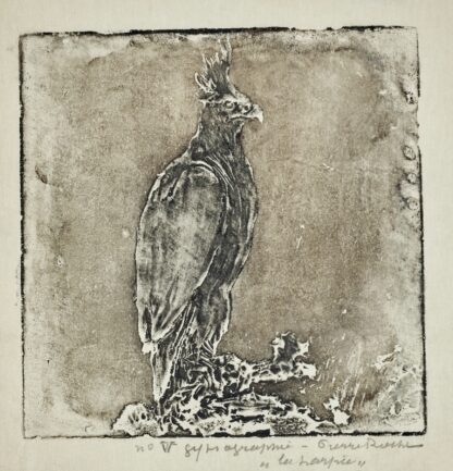 Oiseau de proie by Pierre Roche
