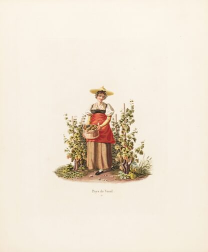 Pays de Vaud by Gabriel Lory the Younger