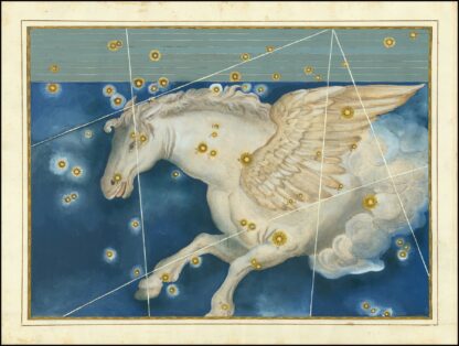 Pegasus by Johann Bayer