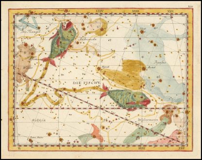 Pisces by Johann Elert Bode