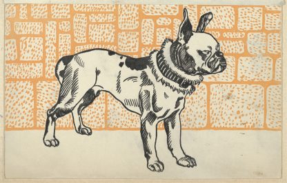 Pitbull Terrier by Moriz Jung