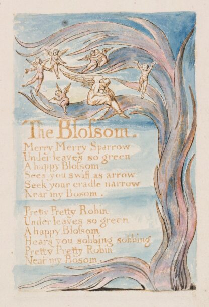 Pl. 17 – The Blossom by William Blake