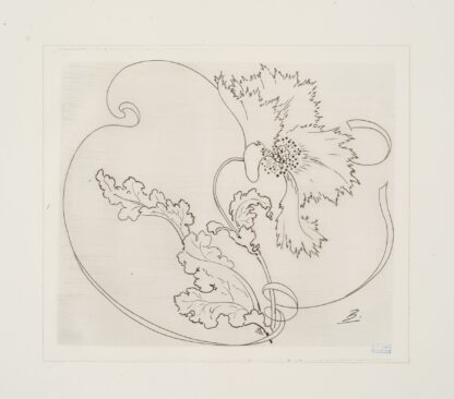 Plat rond by Félix Bracquemond