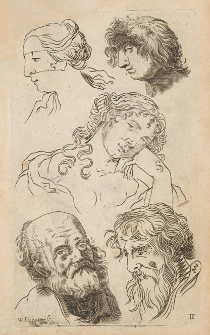 Plate II: Artist study of male heads and female head:torso by William Salmon