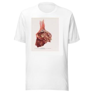 Plate VII by Milton C. Winternitz T-Shirt