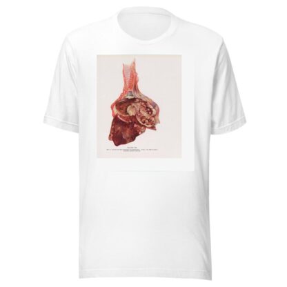 Plate VII by Milton C. Winternitz T-Shirt