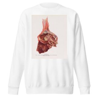 Plate VII by Milton C. Winternitz Sweatshirt