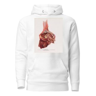 Plate VII by Milton C. Winternitz Hoodie