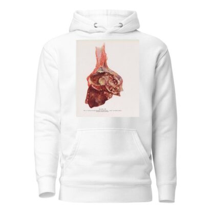 Plate VII by Milton C. Winternitz Hoodie