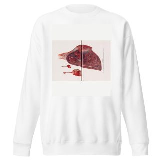 Plate XVI by Milton C. Winternitz Sweatshirt