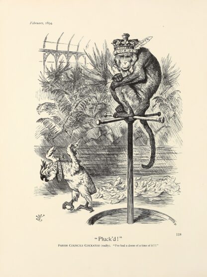 Pluck’d! by Sir John Tenniel