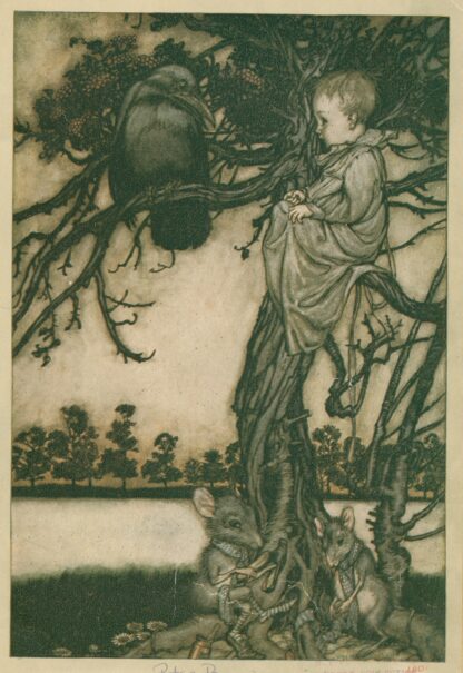 Put his strange case before old Solomon Caw by Arthur Rackham