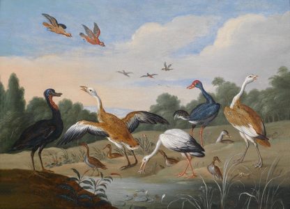 Reiher und Enten by Jan Van Kessel The Elder