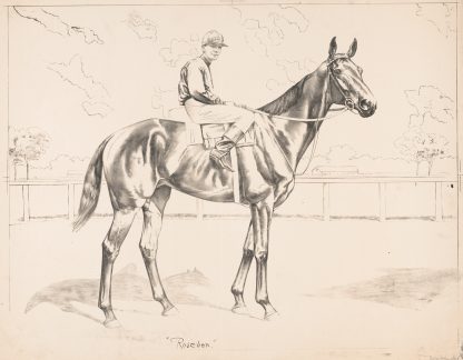 Roseben by Anonymous