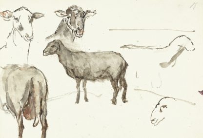 Schetsen van schapen by Sientje Mesdag Van Houten