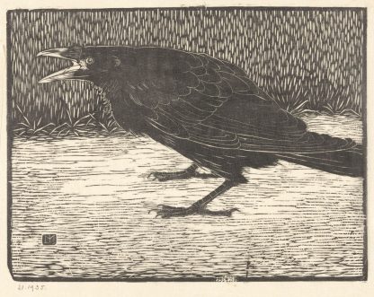 Schreeuwende kraai by Jan Mankes