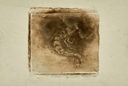 Scorpion by Pierre Roche