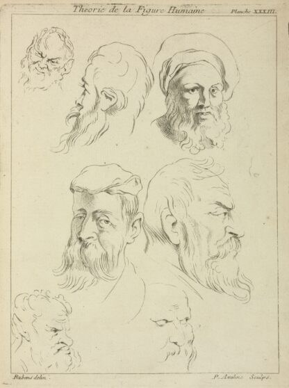 Seven male heads, all with beards, two wearing caps by Peter Paul Rubens