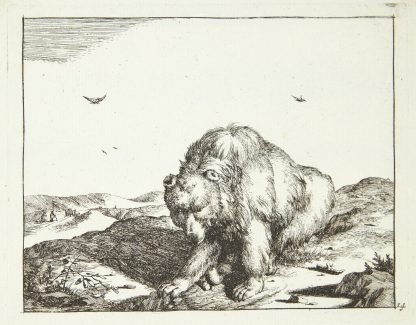 Siddende bjørn, set forfra by Marcus de Bye