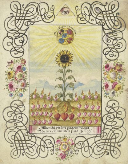 Sonnenblume mit Goldaufschrift by Johann Esaias Nilson