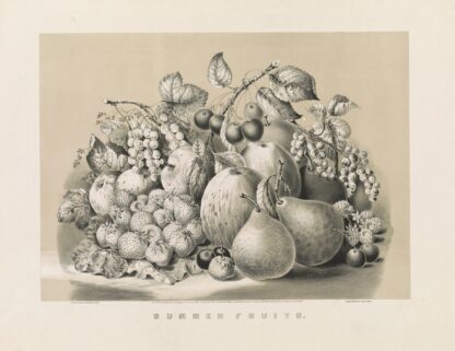 Summer fruits by Currier & Ives.