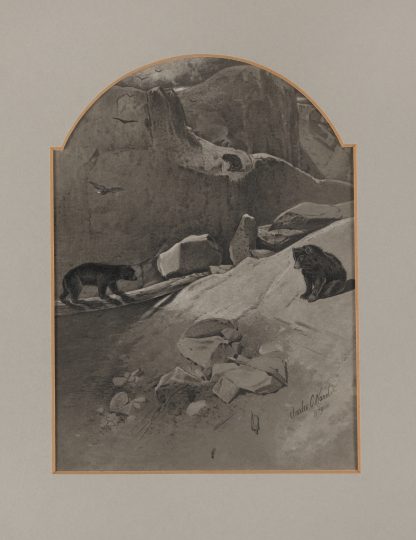 The Bear Pass by Charles Caleb Ward