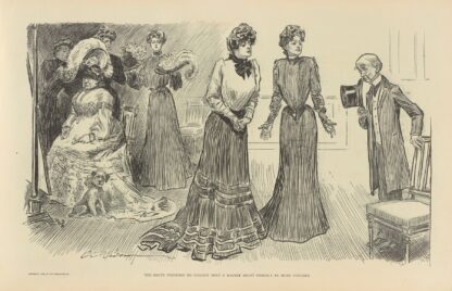 The brute ventures to suggest that a bonnet might possibly be more suitable by Charles Dana Gibson