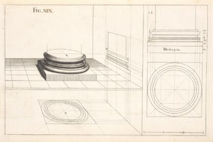 The Corinthian base in perspective. by Andrea Pozzo