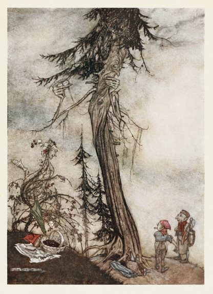 The Fir-tree and the Bramble by Arthur Rackham