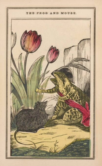 The little frog and pretty mouse Pl.5 by John B. Keller