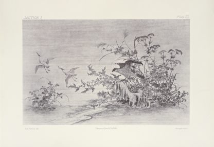 The ornamental arts of Japan Pl.009 by George Ashdown Audsley