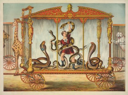 The snake wagon by Gibson & Co. Lith