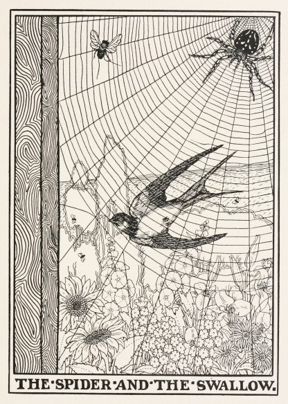 The Spider and the Swallow by Percy J. Billinghurst
