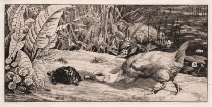 The Unknown by Félix Bracquemond
