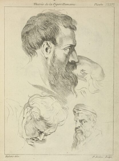 Three studies of men’s heads by Peter Paul Rubens