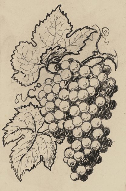 Traube by Hans Thoma