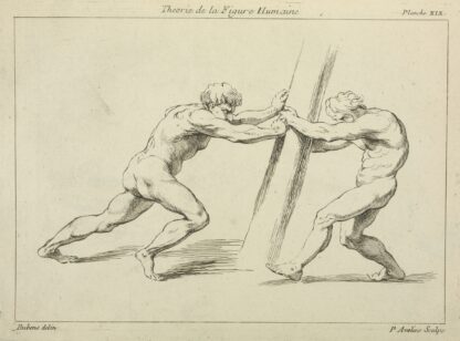 Two figures straining against a post by Peter Paul Rubens