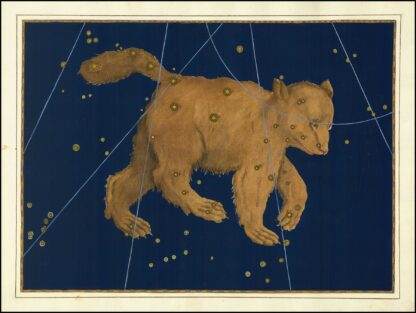 Ursa Major by Johann Bayer