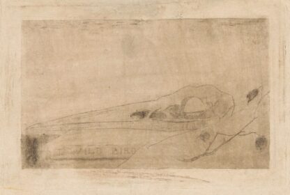 Vogelschedel by Jan Mankes
