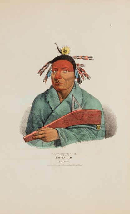 WAA-TOP-E-NOT or the Eagle’s Bed; A Fox Chief by James Otto Lewis