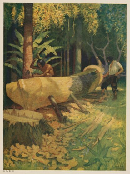 —we cut and hewed the outside into the true shape of a boat by N. C. Wyeth