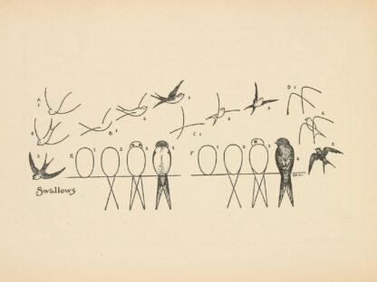 What to draw and how to draw it Pl.30 by Edwin George Lutz