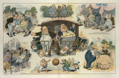 Why not introduce a little novelty into the campaign by John Samuel Pughe