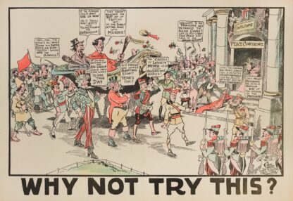 Why Not Try This by Carey Cartoon Service