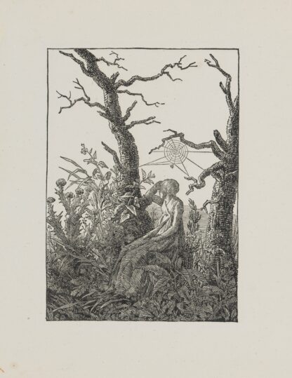 Woman with a Spiderweb by Caspar David Friedrich